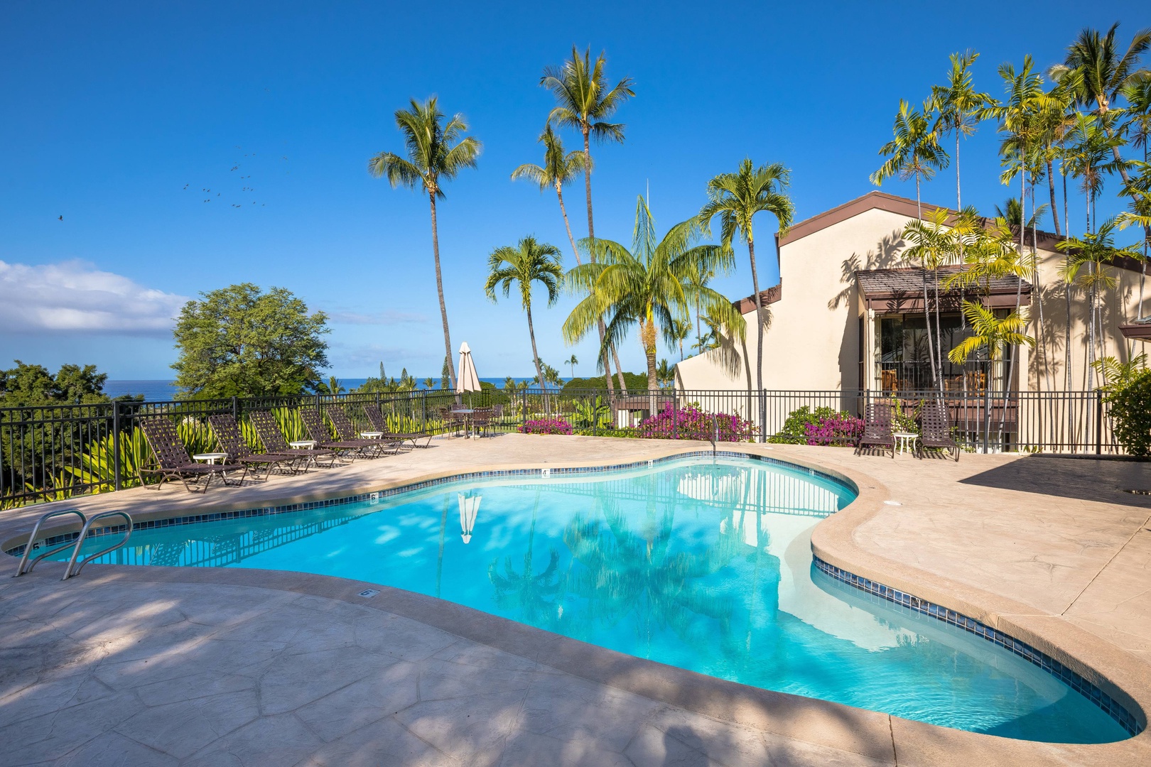 This tropical oasis features a sparkling pool framed by swaying palms, loungers for unwinding, and a welcoming pavilion—all set against a stunning ocean backdrop and perfect blue skies.