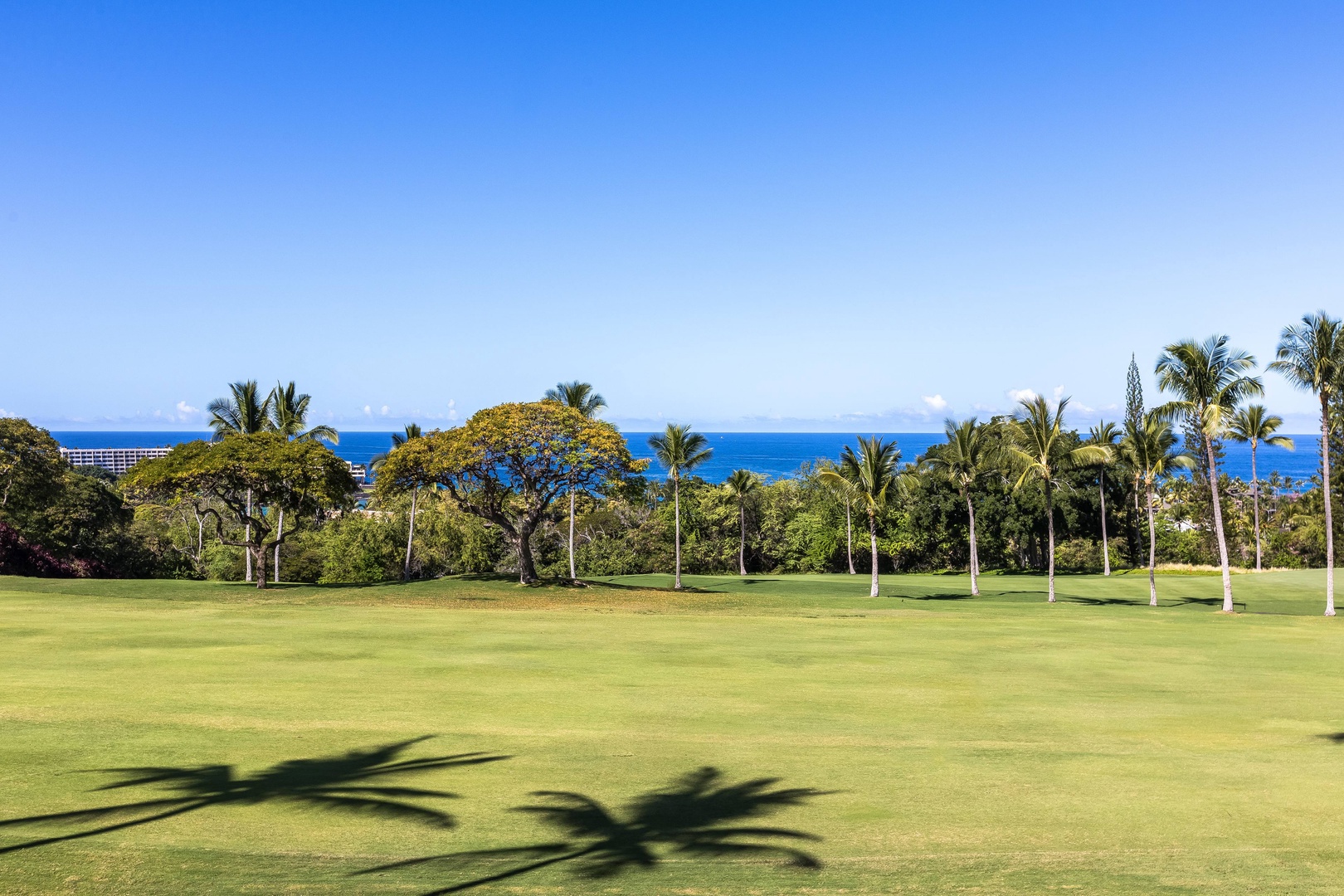 This property sits near a championship golf course framed by tropical palms, with the sparkling Pacific Ocean visible beyond the lush fairway—an ideal setting for an active island getaway.