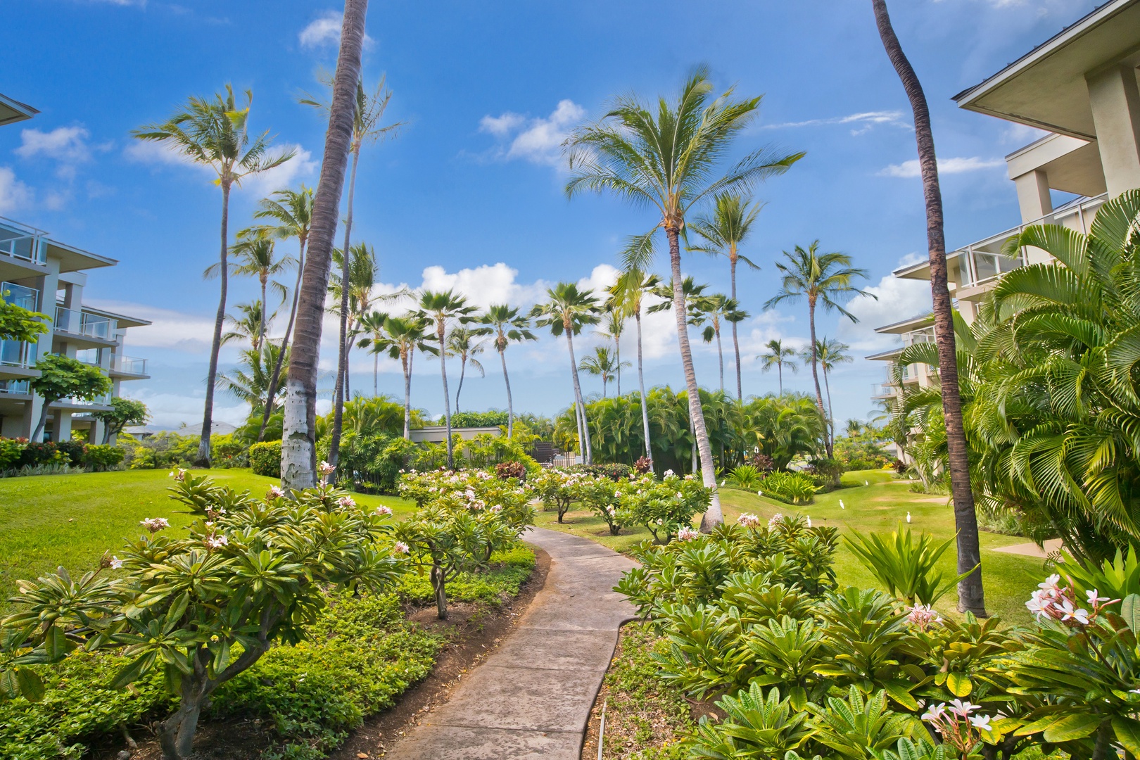 Lush tropical landscaping surrounds the property, with swaying palms, flowering plants, and manicured lawns creating a serene island atmosphere in this beautiful resort setting.