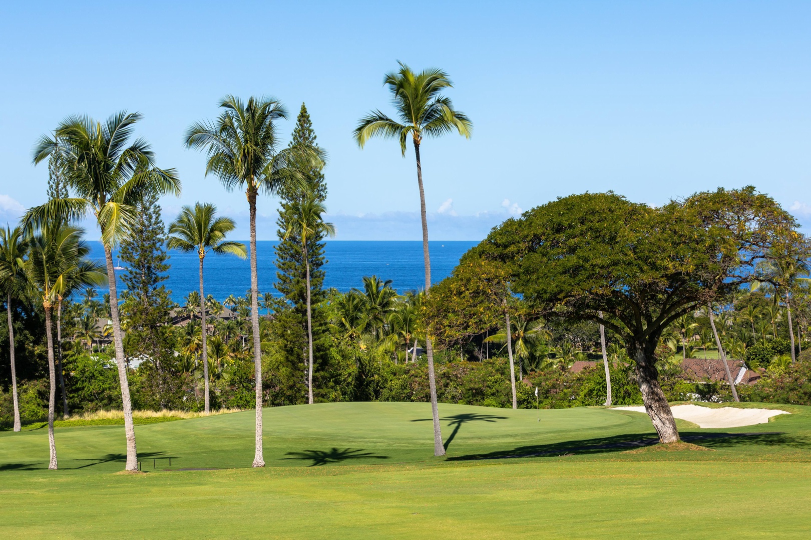 A beautifully manicured golf course framed by swaying palms and lush greenery, with stunning ocean views forming a serene backdrop to the fairway.