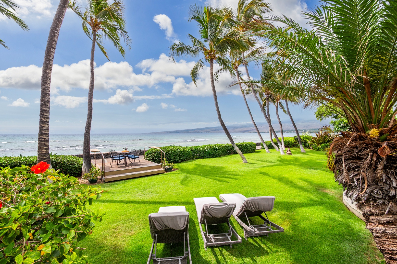 Oceanfront property featuring manicured lawn with palm trees, outdoor seating, and nearby ocean access. Features tropical landscaping and oceanfront relaxation area with loungers overlooking the coastline.