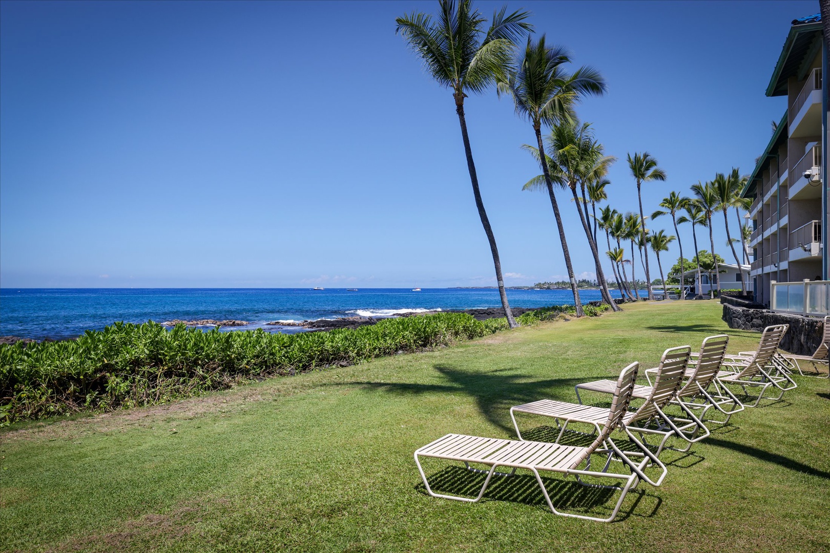 Oceanfront lawn features lounge chairs beneath swaying palms, offering direct beach access and stunning views of turquoise waters stretching to the horizon.