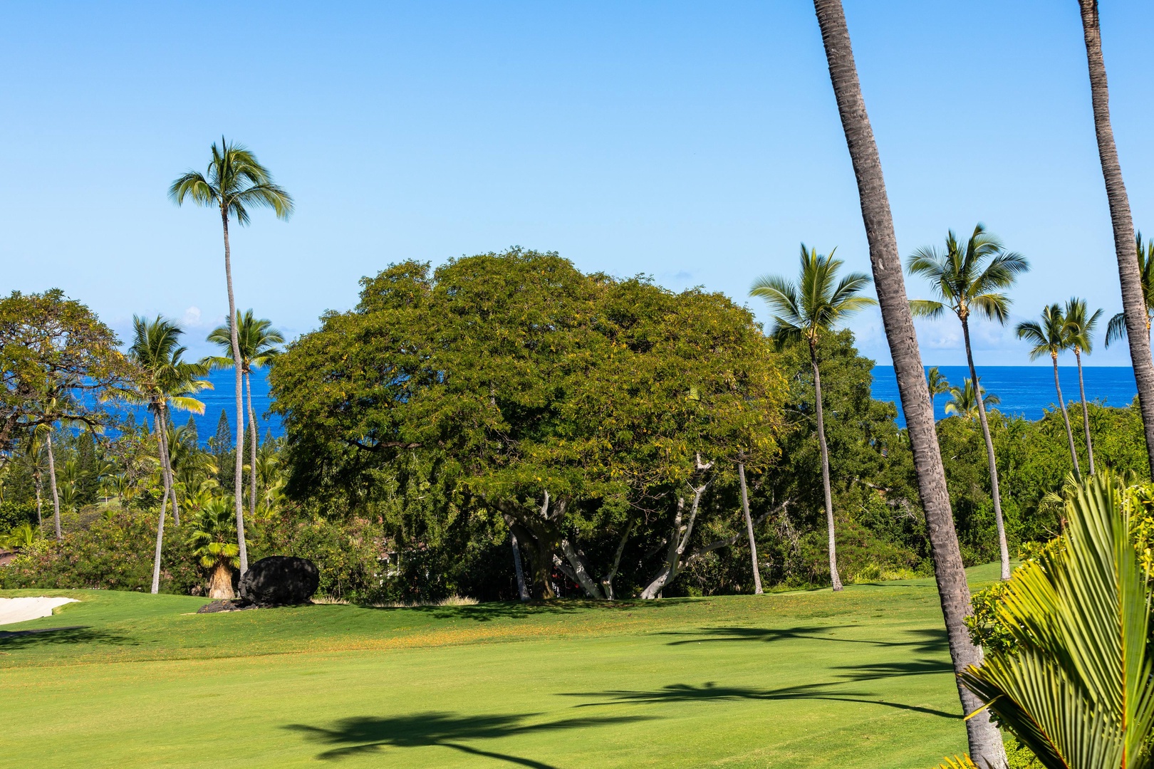 Oceanfront grounds feature manicured lawns, swaying palm trees, and a historic banyan tree. Blue waters meet clear skies in this serene tropical setting.
