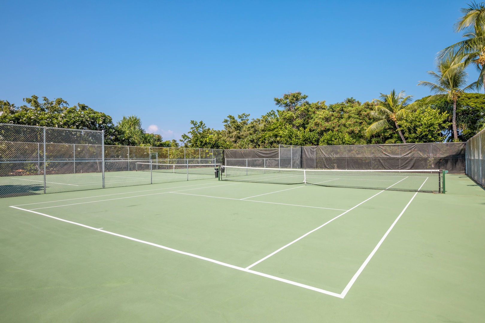 The property features well-maintained tennis courts surrounded by lush tropical greenery and swaying palms under clear blue skies—perfect for a friendly match or leisurely afternoon game.