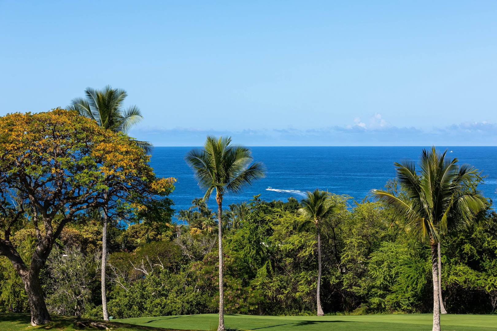 Lush tropical landscape with palm trees and vibrant ocean views, part of the surrounding area near this coastal property.