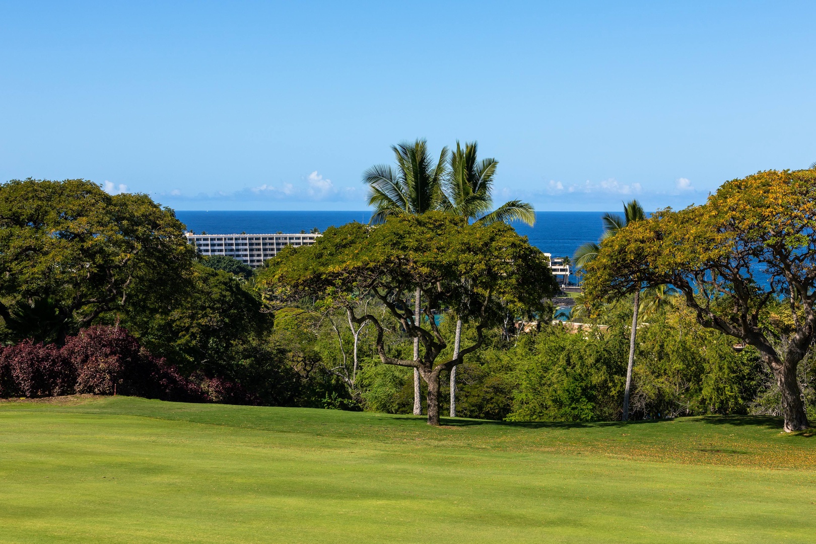 A tropical golf course fairway with lush green turf, mature palm trees, and stunning ocean views visible beyond distant buildings under clear blue skies.