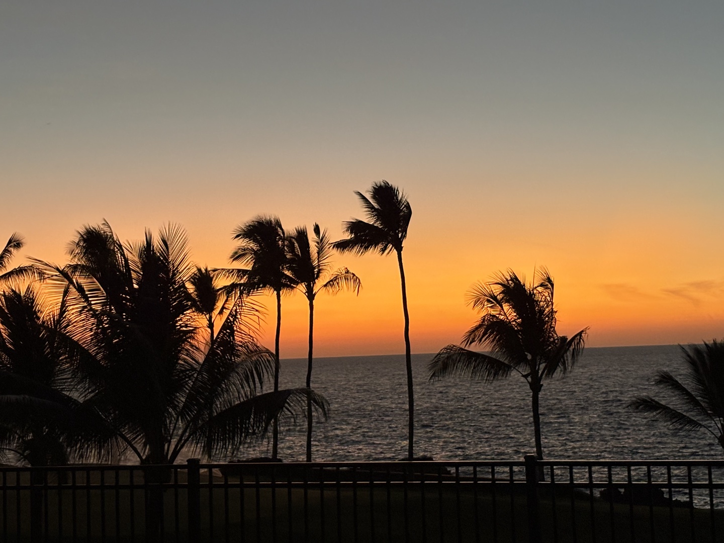Golden sunset paints the sky over swaying palm trees and ocean waters, creating a breathtaking tropical evening scene.