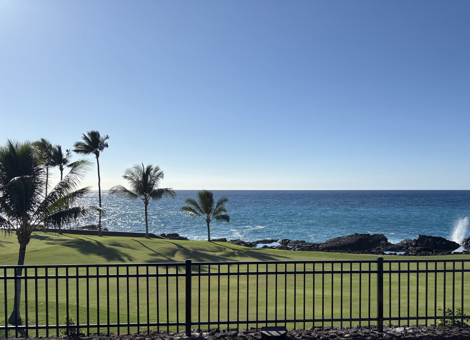 Ocean-front golf course with pristine fairways meeting dramatic coastline and swaying palms under clear blue skies.