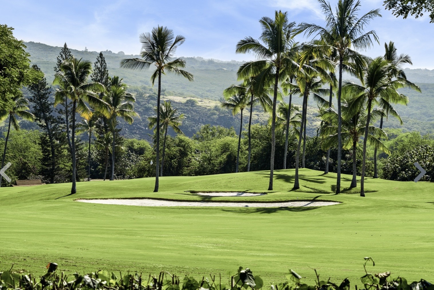 Championship golf course with pristine fairways and palm trees set against dramatic mountain backdrop in tropical paradise setting.