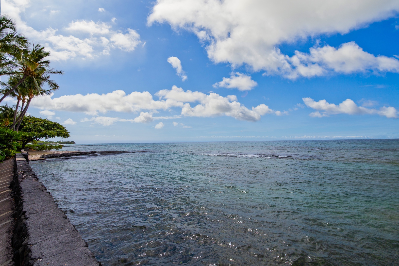 The property features a stunning oceanfront location with palm trees and tropical landscaping along the coast, offering peaceful sea views under beautiful Hawaiian skies.