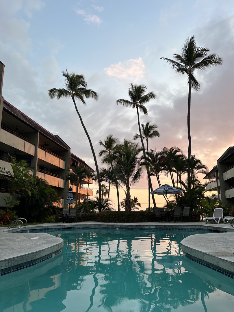 View from the Pool