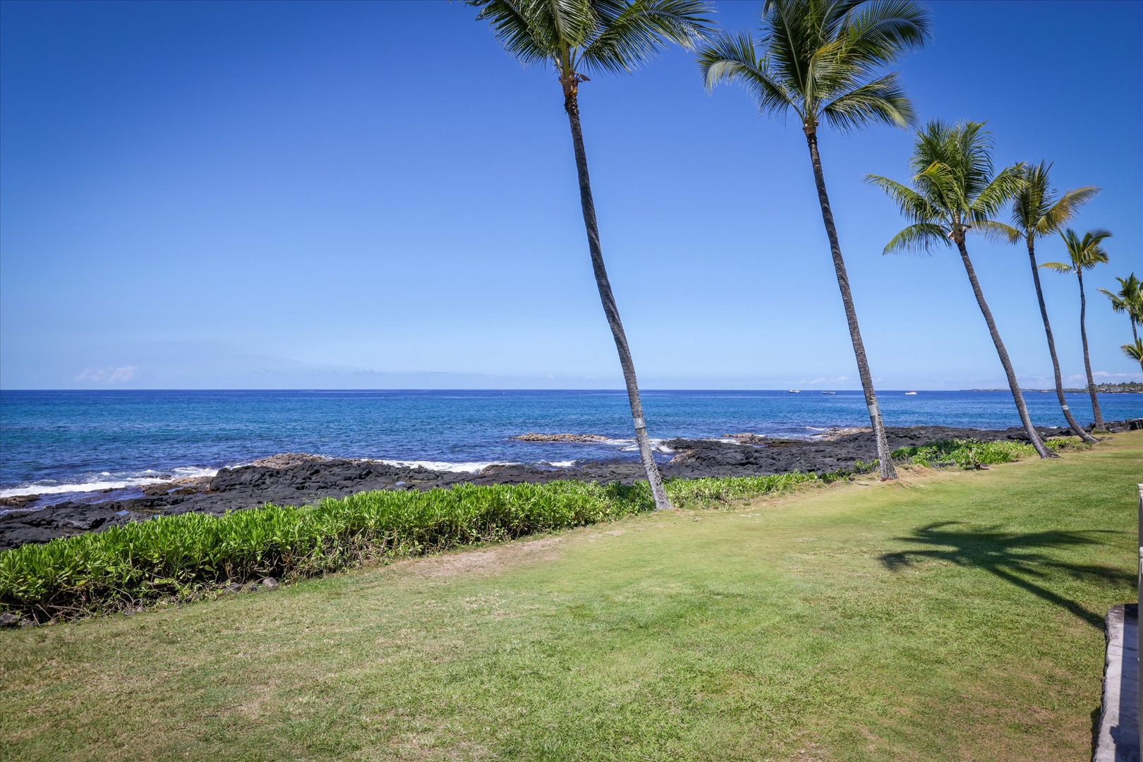 Coastal property featuring manicured grounds along volcanic rock shoreline, framed by tall palm trees and panoramic ocean views under clear blue skies.