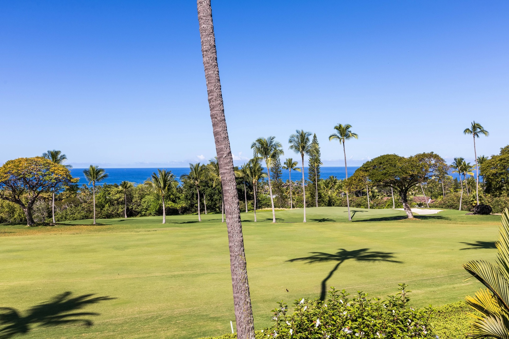 Pristine golf fairway framed by swaying palms meets the deep blue Pacific, offering a tropical paradise setting for an unforgettable vacation in Hawaii.