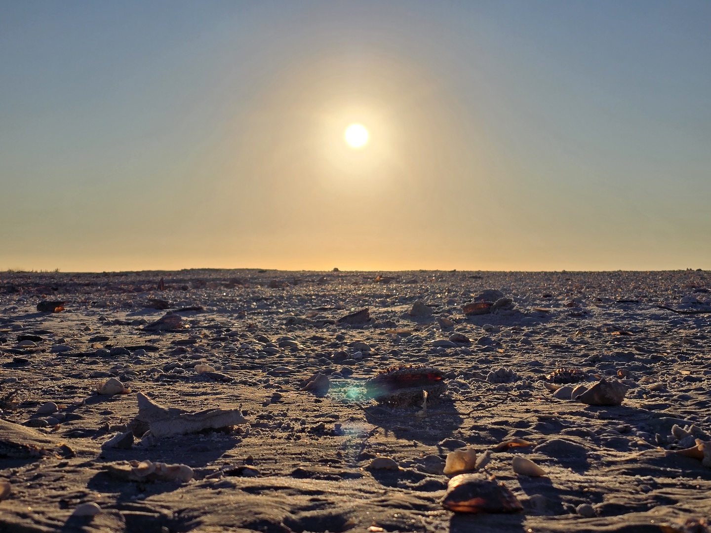 Sunset Beach and Shells
