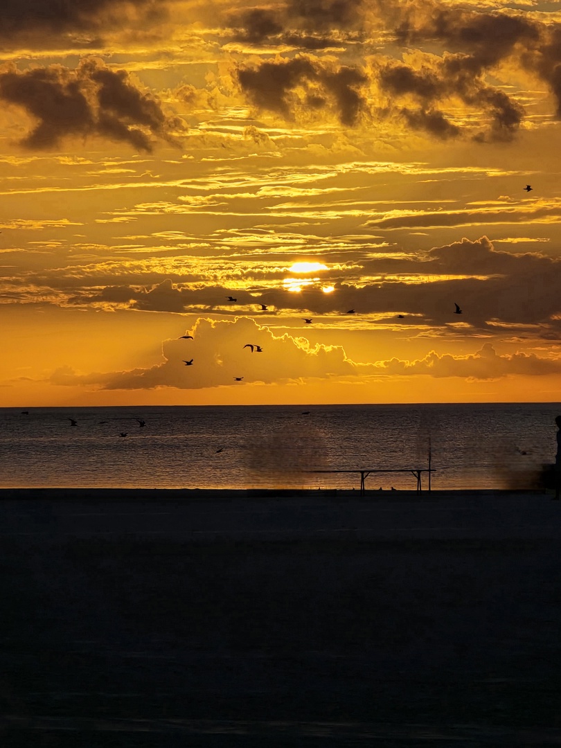 Sunset Serendipity