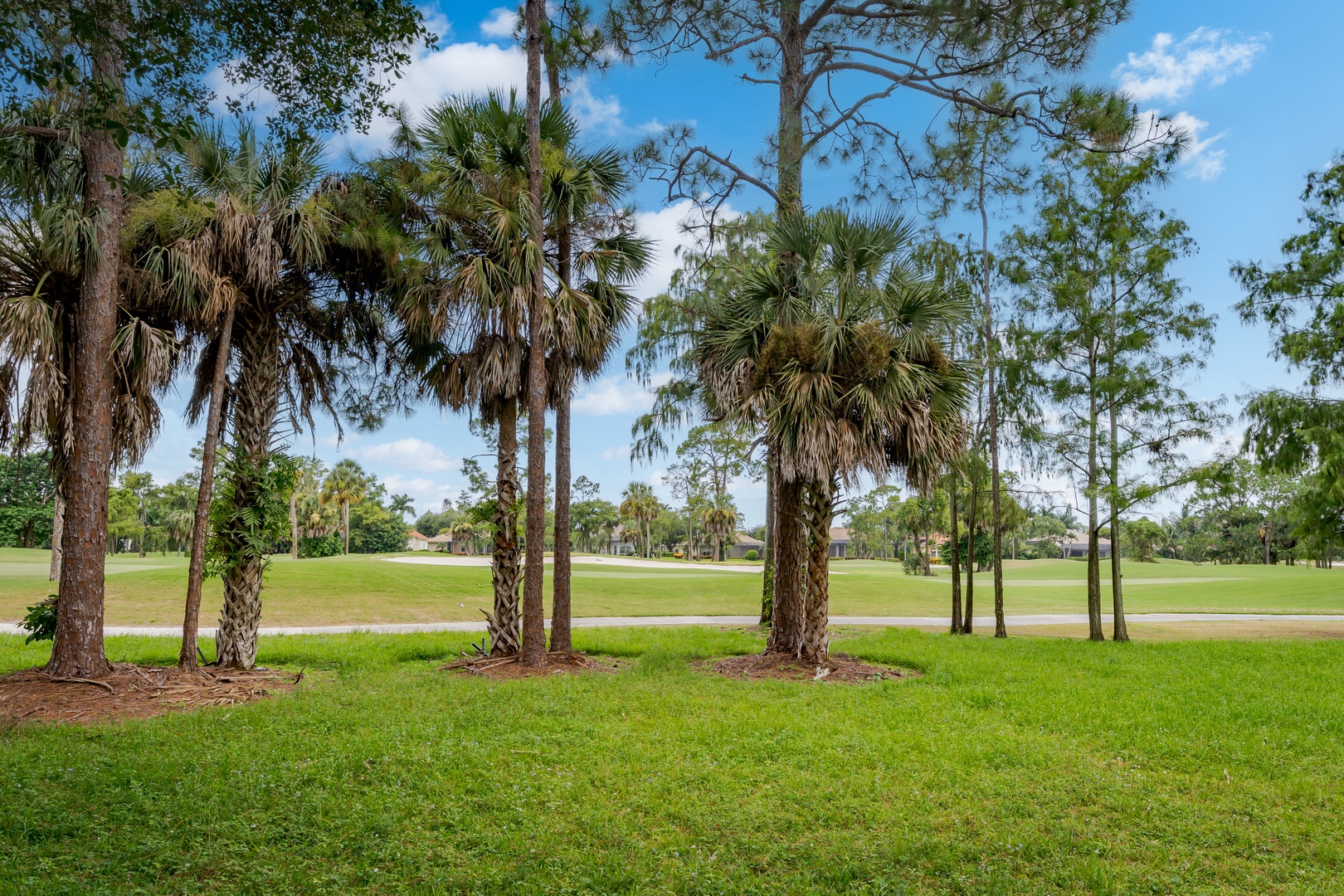 The property sits on beautifully landscaped grounds with a golf course just beyond the lush lawn and swaying palms.