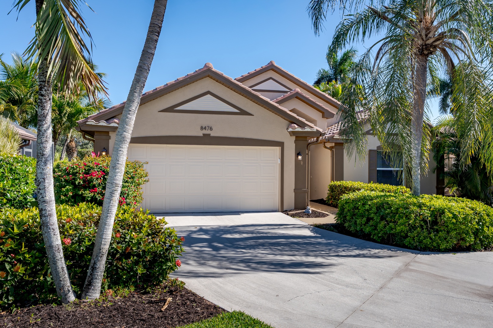 Modern Florida home surrounded by swaying palms and tropical landscaping in a peaceful residential setting.