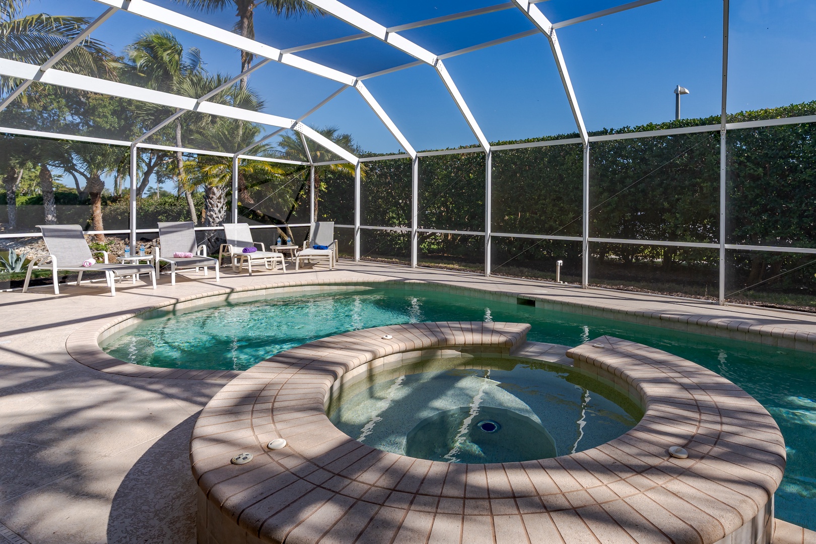 Dive into your private oasis where the sparkling pool and bubbling spa await your perfect poolside afternoon under Florida's sunny skies.