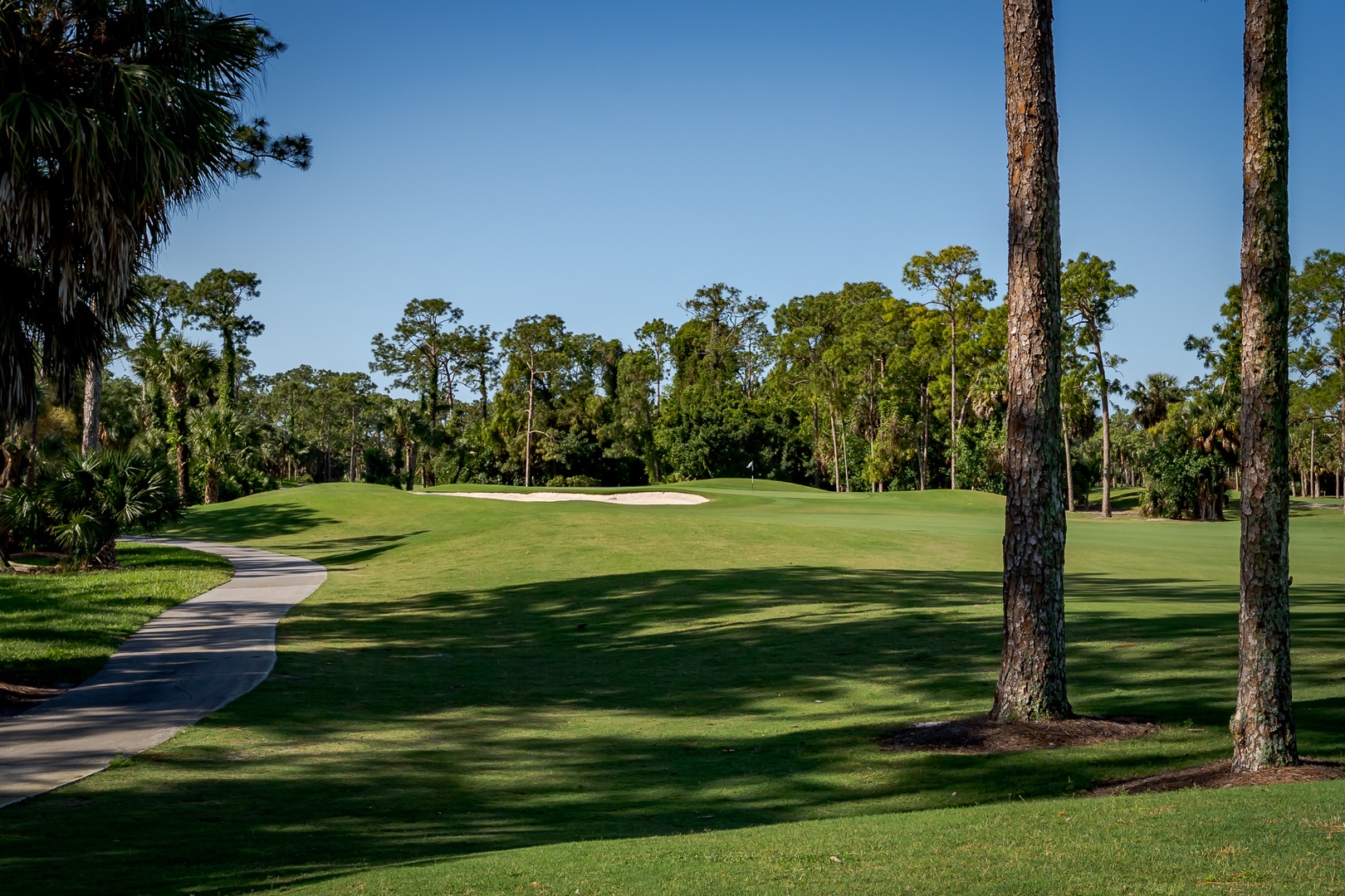 A manicured golf course with rolling greens and towering palms, nestled in a lush landscape—perfect for golf enthusiasts looking to tee off steps from your accommodation.
