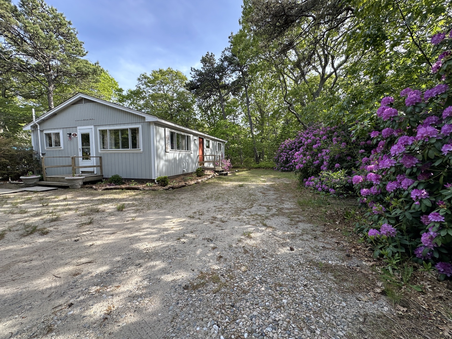 Charming cottage nestled among mature trees with vibrant purple blooms, offering peaceful woodland privacy and convenient parking.