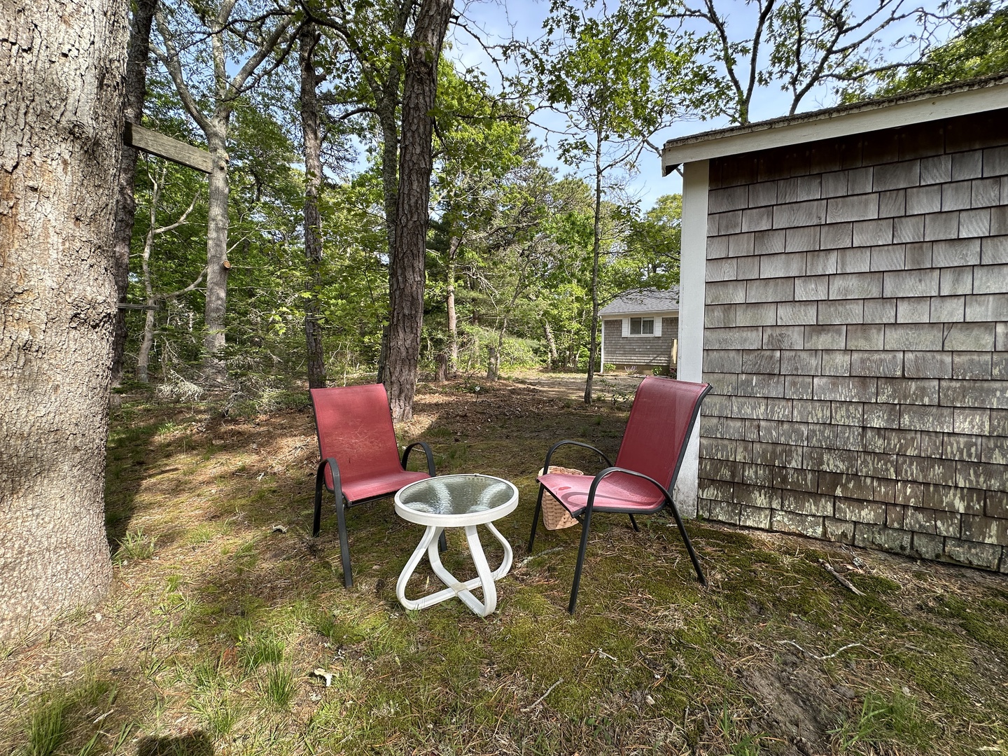 Step outside to your private seating area where red cushioned chairs await under the shade of towering trees.