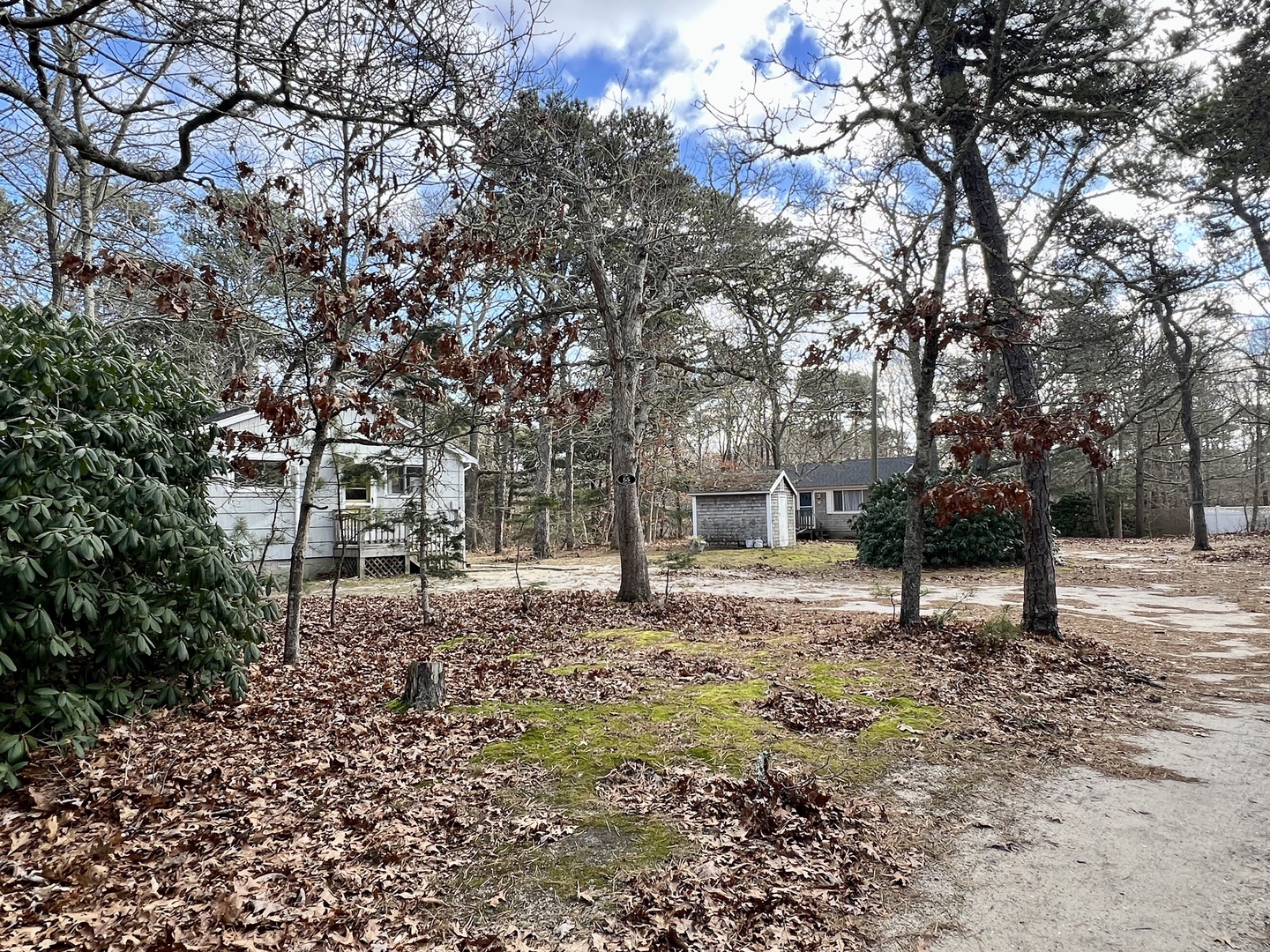 Property grounds feature multiple buildings nestled among mature trees with autumn leaves scattered throughout the wooded landscape.