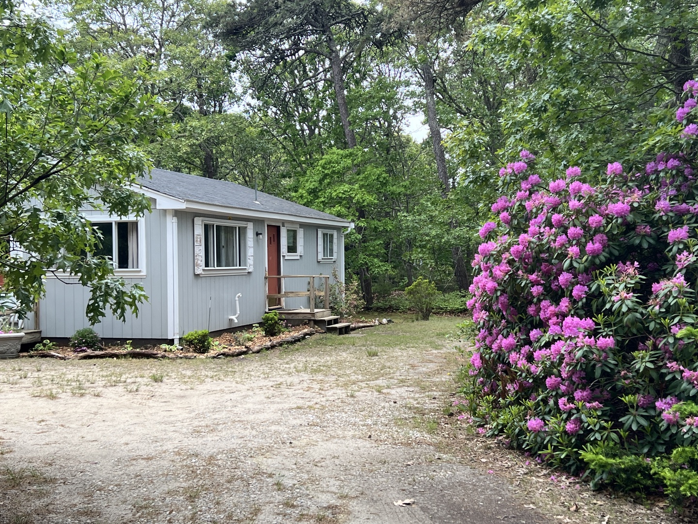 Property nestled among mature trees with vibrant rhododendron blooms creating a peaceful woodland setting.