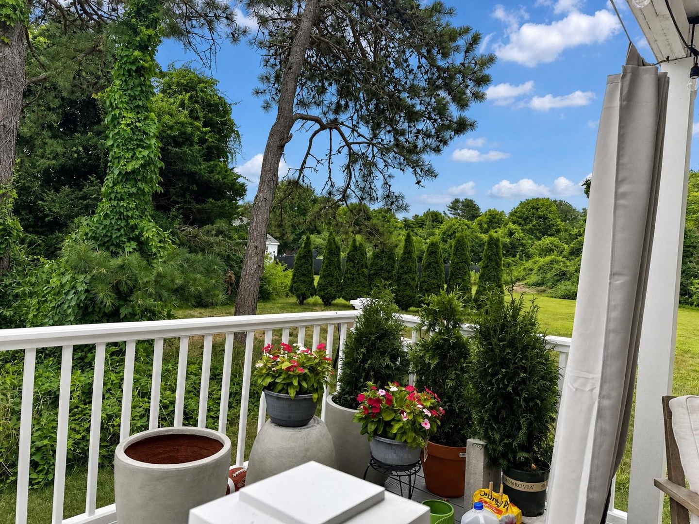 View from the deck