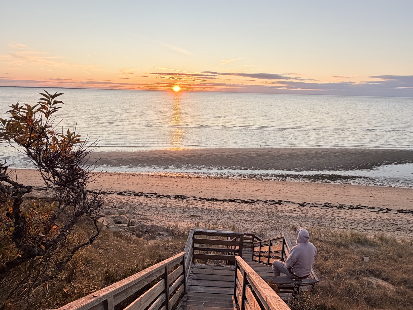 Breathtaking sunset over pristine beach with golden light reflecting on calm waters and natural vegetation.
