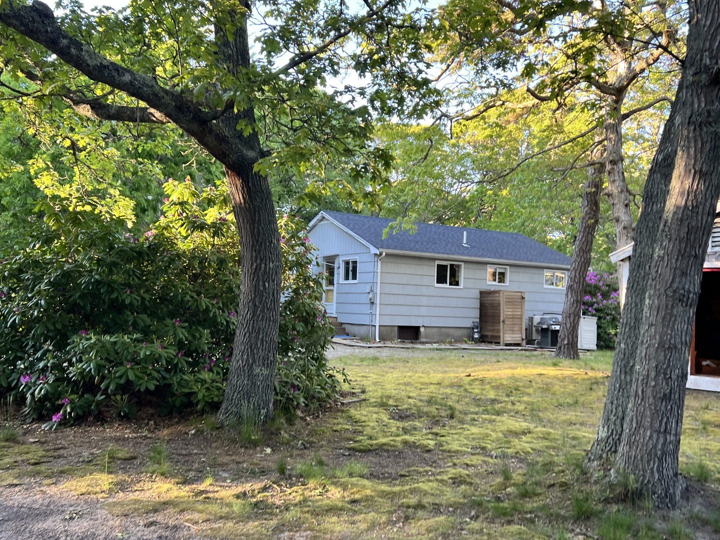 A charming cottage nestled among mature shade trees in a peaceful residential setting.