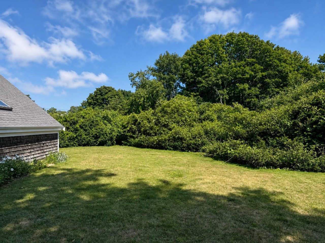 Expansive lawn area bordered by mature trees under a bright summer sky, offering a peaceful outdoor setting adjacent to the property.