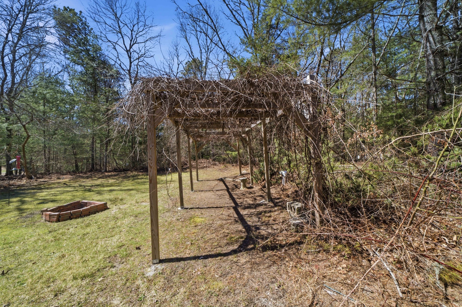 A rustic wooden pergola structure nestled among towering trees creates a peaceful outdoor retreat on the property grounds.