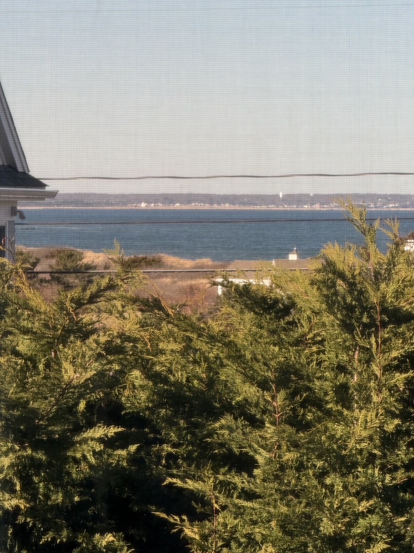 Scenic seaside setting with lush evergreen trees and distant mountain ranges creating a peaceful natural backdrop.