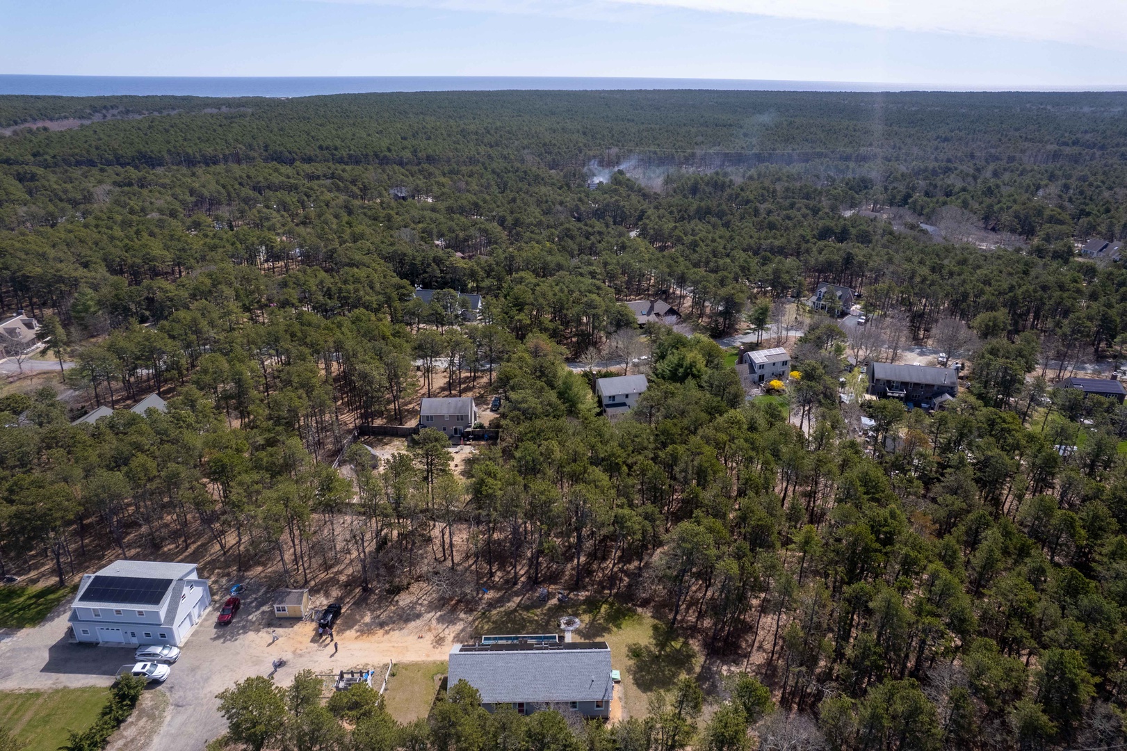 Aerial view of wooded coastal community with scattered homes nestled among tall pines near the ocean.
