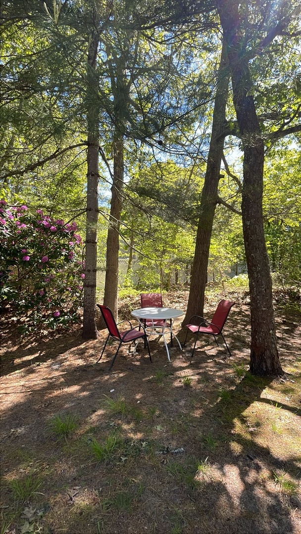 Escape to your private woodland retreat where dappled sunlight filters through towering trees, creating the perfect spot for morning coffee or evening conversations.