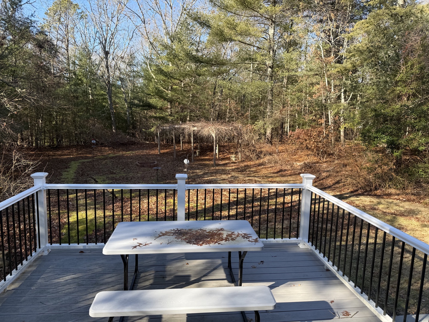 Step onto your private deck overlooking peaceful wooded grounds, perfect for morning coffee or evening relaxation surrounded by nature.