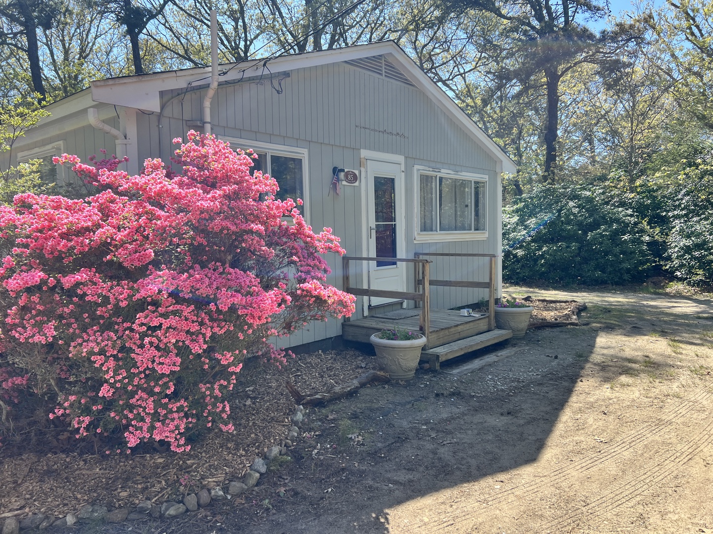 Charming cottage nestled among towering trees with vibrant spring blooms greeting your arrival at this peaceful woodland retreat.