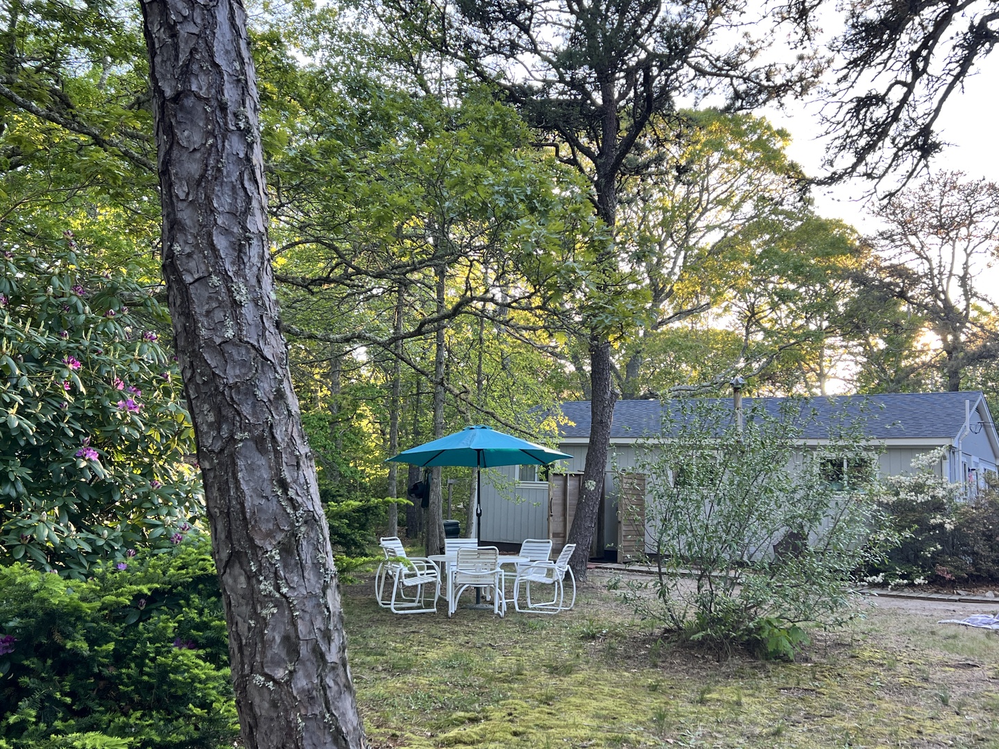 Your private outdoor dining space awaits beneath mature trees, where you can savor meals under the shade of your teal umbrella.