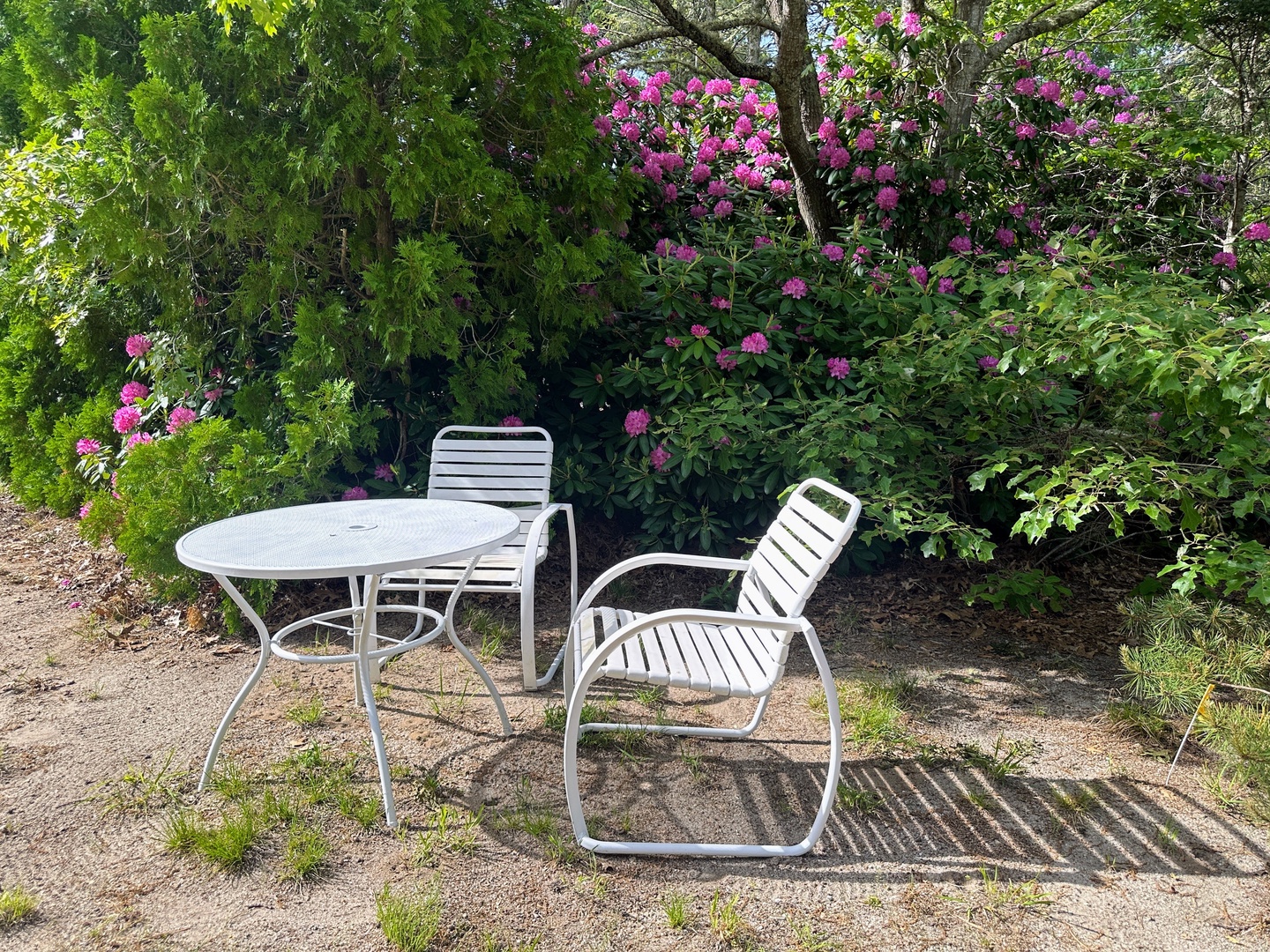 Step outside to your private garden retreat, where blooming flowers create a colorful backdrop for peaceful moments at your outdoor dining set.