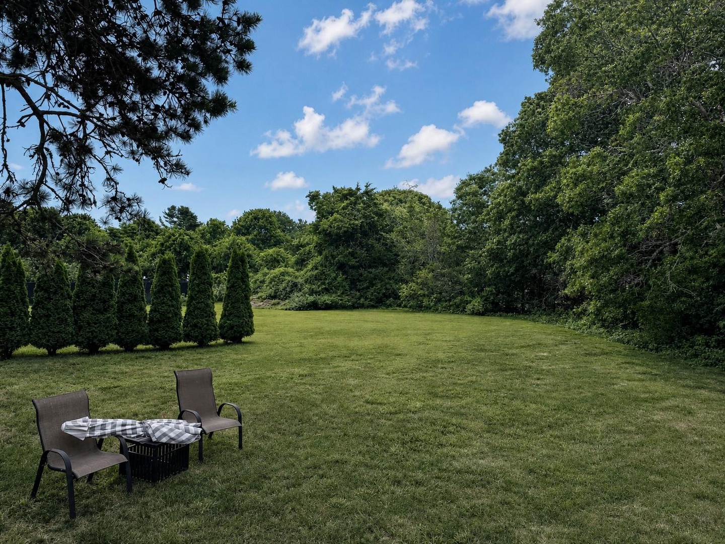 Backyard