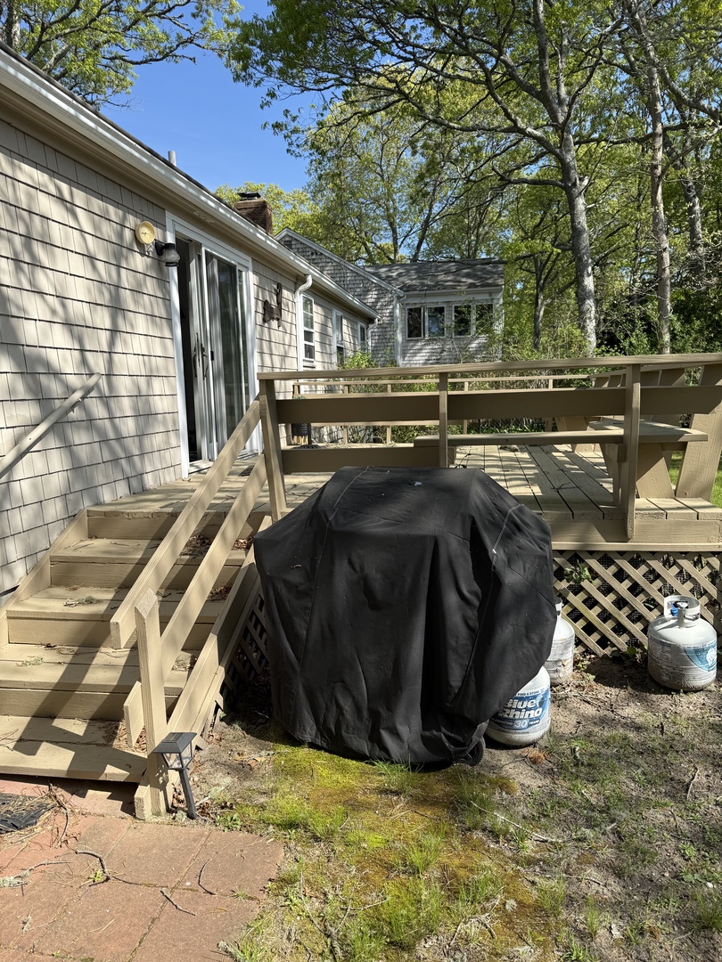 Your private deck invites sunny mornings and peaceful evenings, with natural shade from tall trees and room for relaxing under open skies.