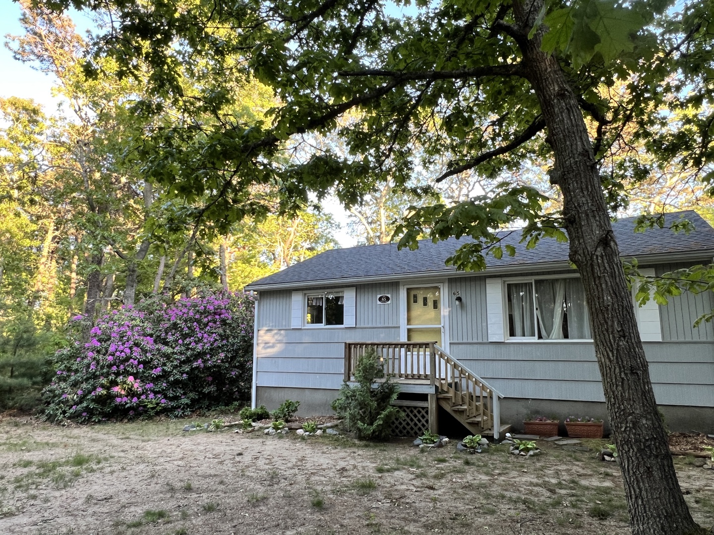 A charming cottage nestled among mature trees with colorful flowering bushes creating a peaceful woodland setting for your getaway.