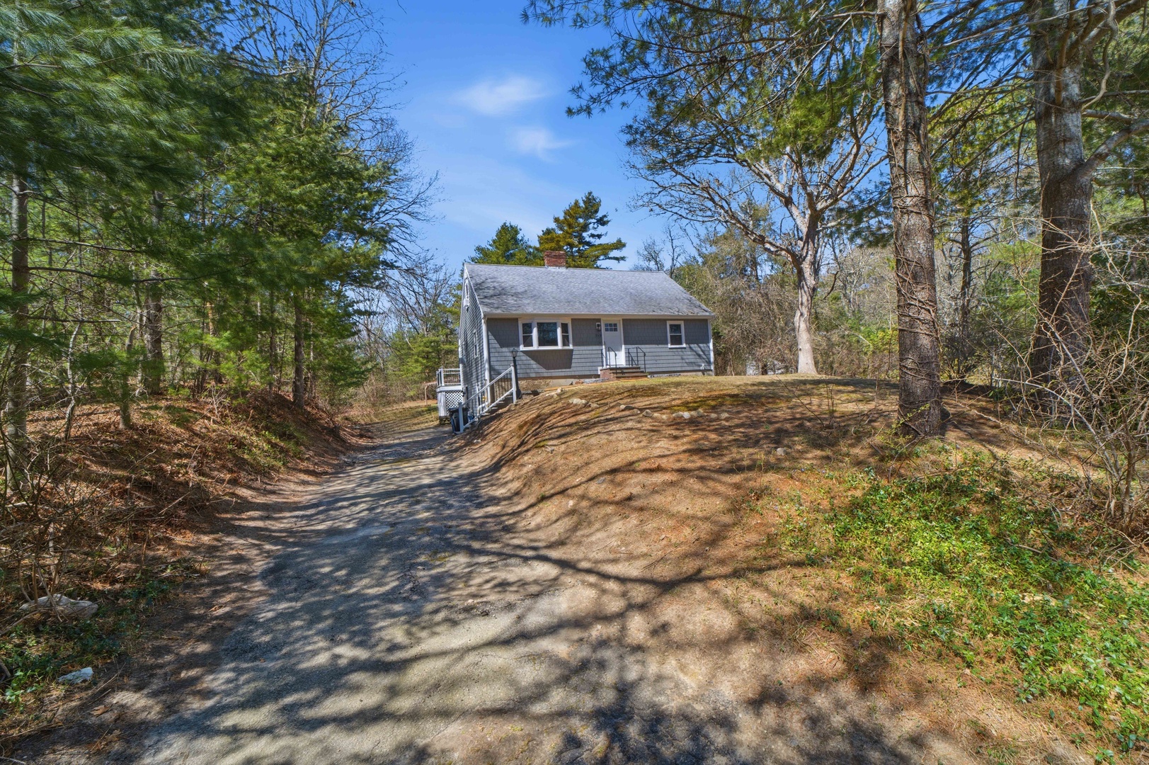 Peaceful wooded retreat nestled among mature trees with a charming driveway approach through natural surroundings.