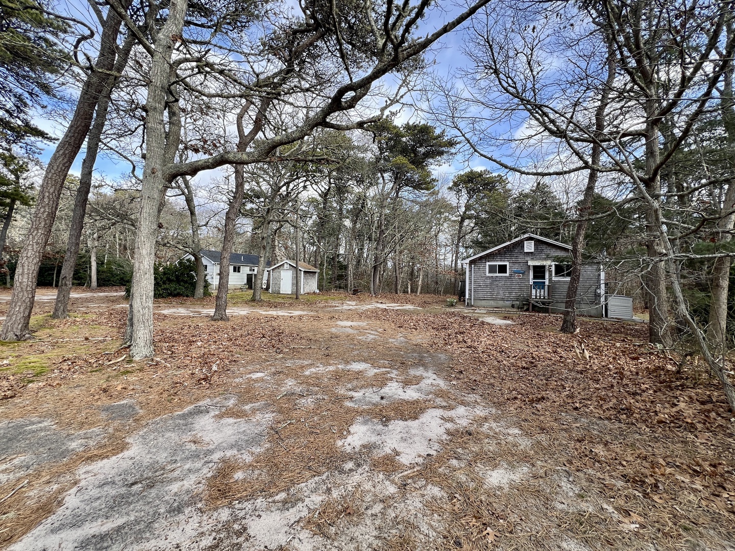Charming cabin nestled among towering trees on a private wooded lot with spacious grounds for outdoor activities and relaxation.