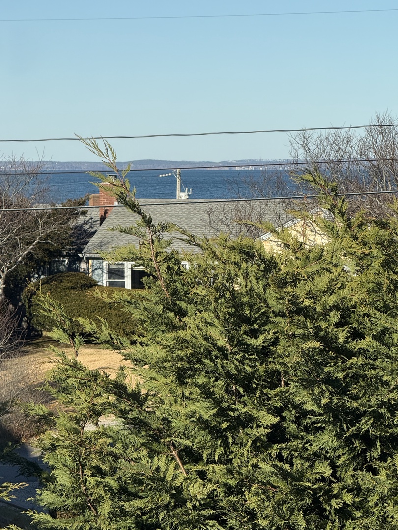 Peaceful ocean view property nestled among towering evergreens, offering direct ocean access for leisurely beach activities.