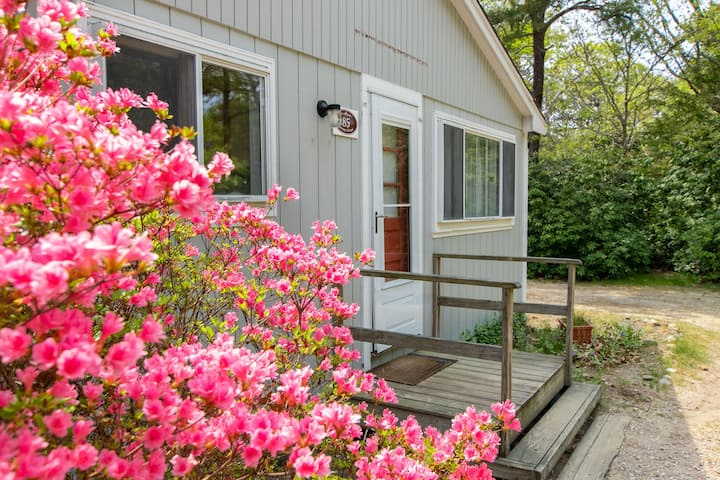 Vibrant pink blooms welcome you to your charming retreat, surrounded by lush greenery and peaceful natural beauty.