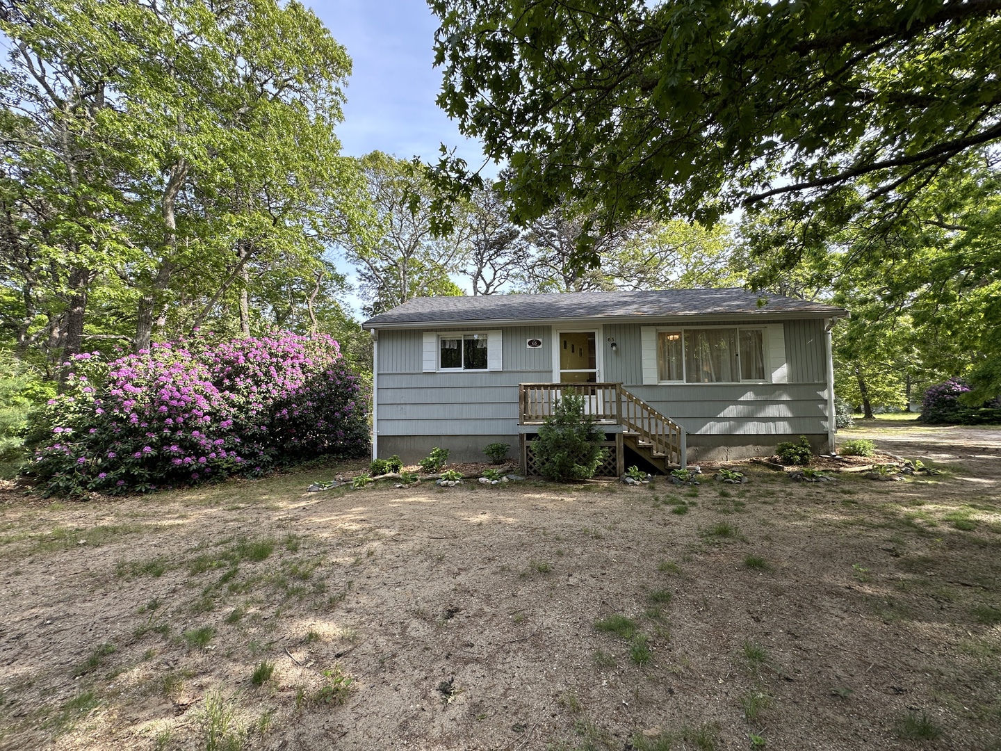 Charming cottage nestled among mature trees with blooming purple azaleas and peaceful natural surroundings.