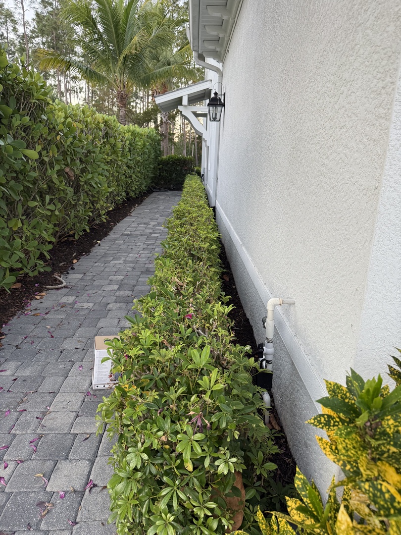 Flat left side entrance walkway to home