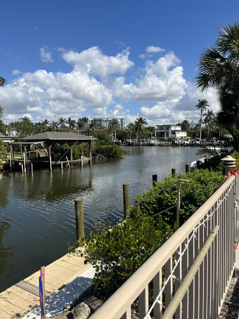 A peaceful waterfront area near the property, framed by palm trees and lush greenery along the canal's edge.
