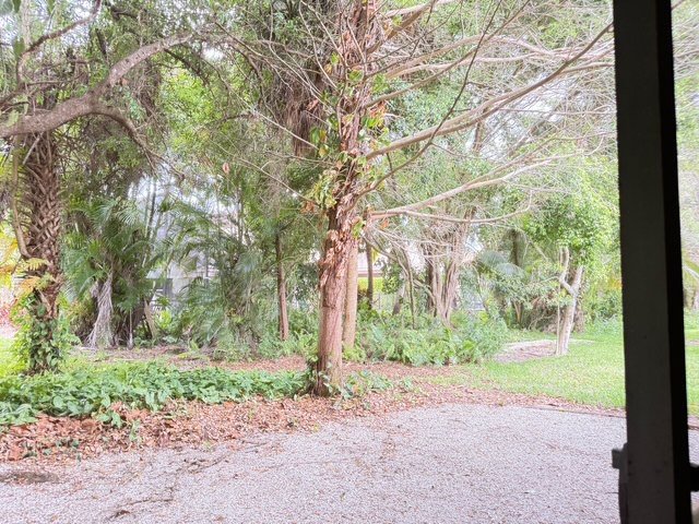 Peaceful tropical gardens surround the property with lush greenery and mature trees creating a serene natural setting.